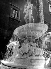 Fontana dell'Amenano, Piazza Duomo, Catania