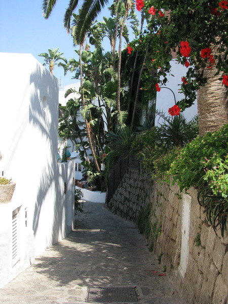 Panarea