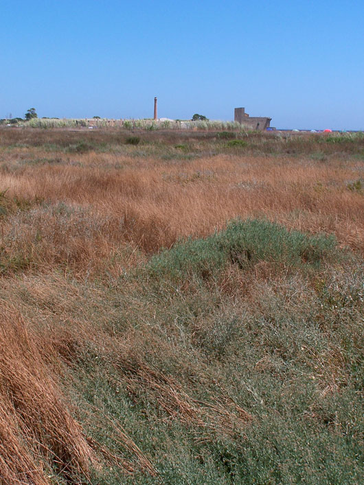 Vendicari, paesaggio