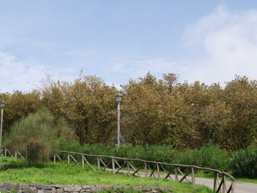 Comune di Sant'Alfio