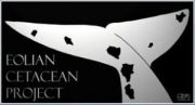 Logo Eolian Cetacean Project Salina 2007